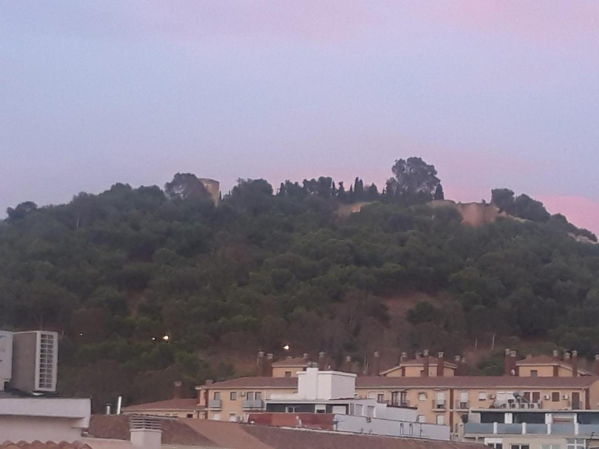 Apartamentos Marques De La Merced มาลากา ภายนอก รูปภาพ